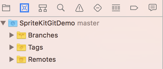 source control navigator at start